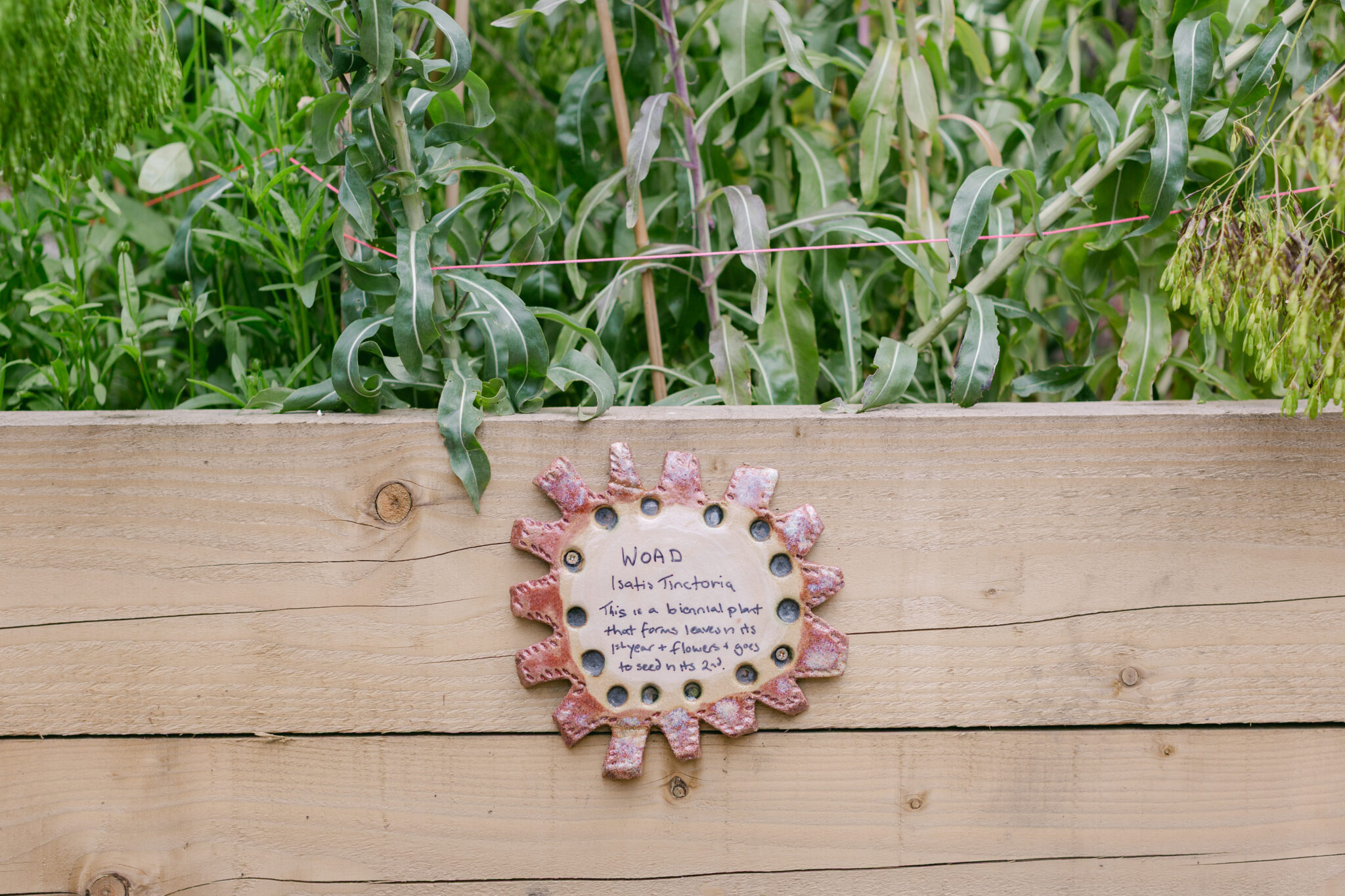 SculpturehouseDG-DavidsSign-WOad2